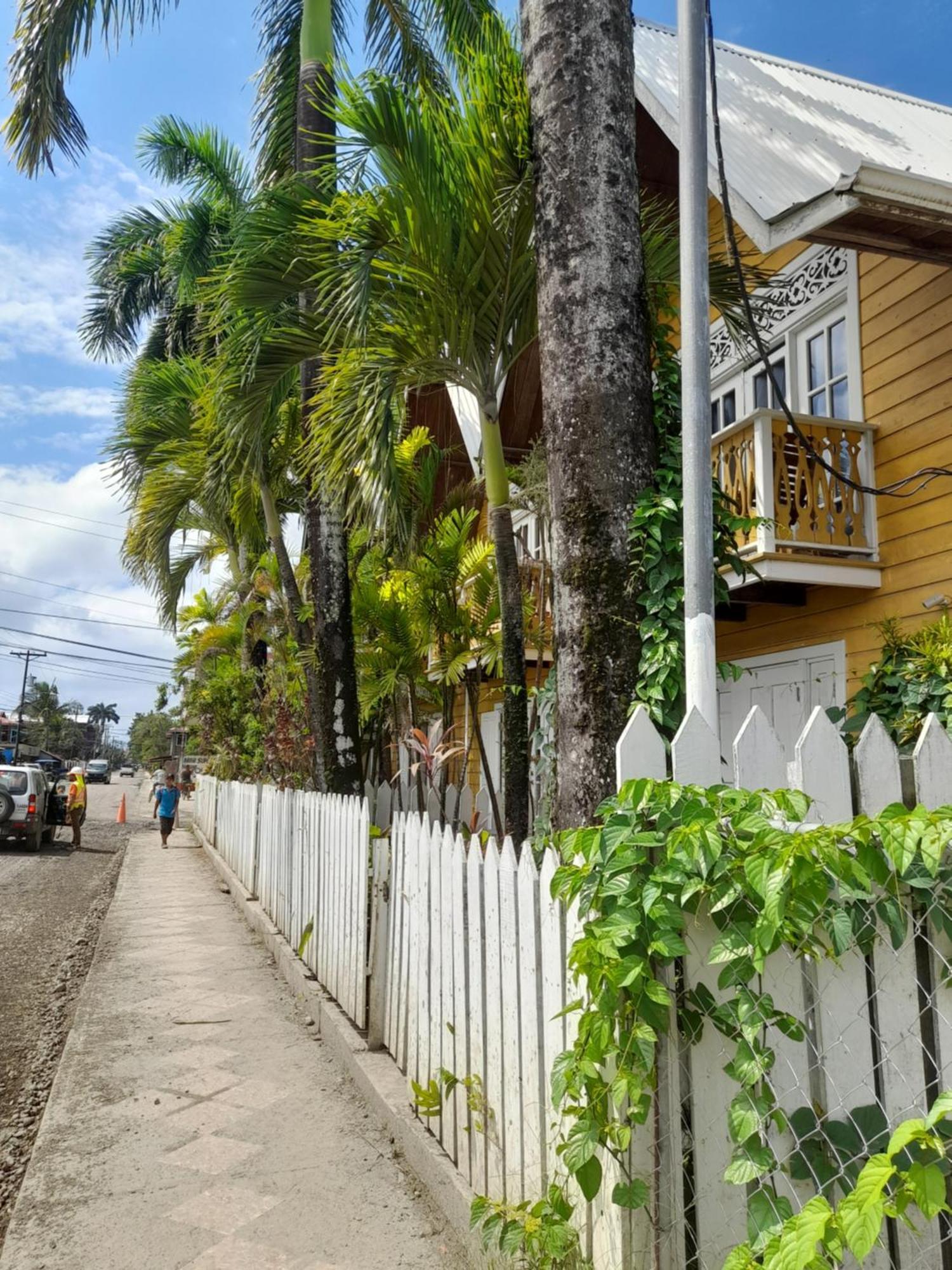 Charming Yellow Houses Loft-Style Apartment Bocas Town Luaran gambar